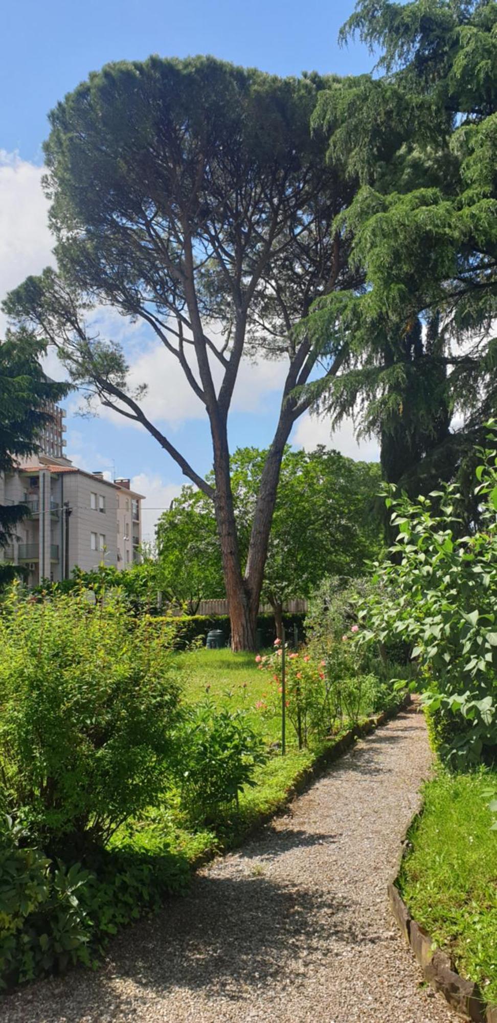 Alejlop Apartment Gorizia Buitenkant foto